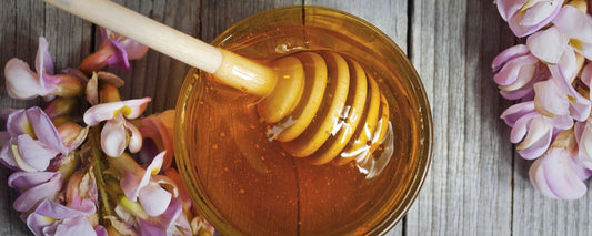 Miele di Acacia