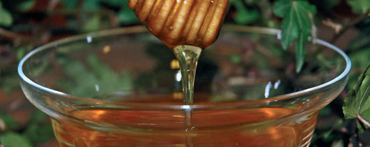 Miele di Cardo