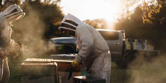 Dove trovare il miele di Manuka non è un compito facile, anzi. È una domanda che molte persone si pongono quando vogliono consumare prodotti naturali e sani.